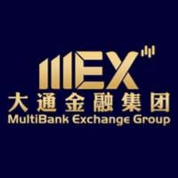 大通金融MEX