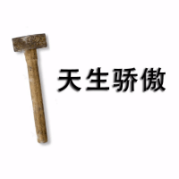 我不是段友