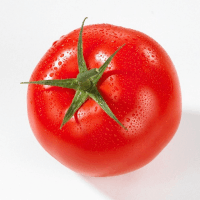 番茄历史频道