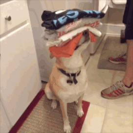 搞笑 正文 正当我努力奋战的时候 突然!