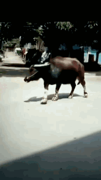 搞笑gif姑娘这检票口的门缝是专门给你留的