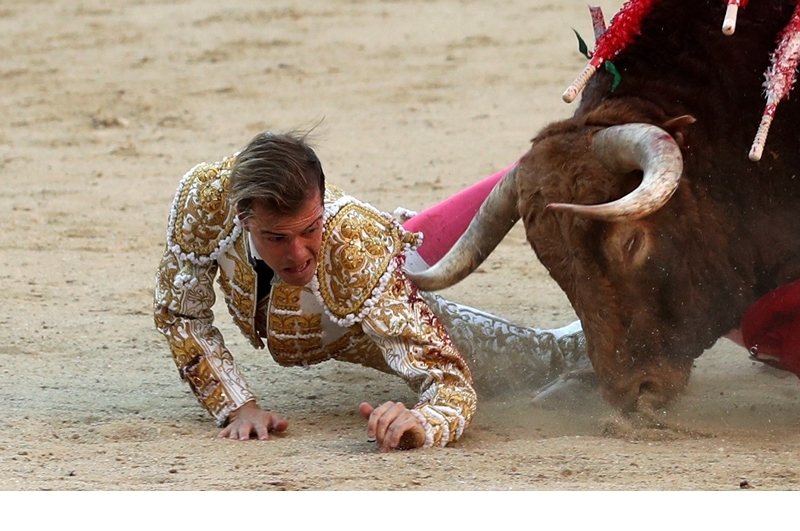西班牙斗牛节表演惊险连连 斗牛士惨被牛角刺