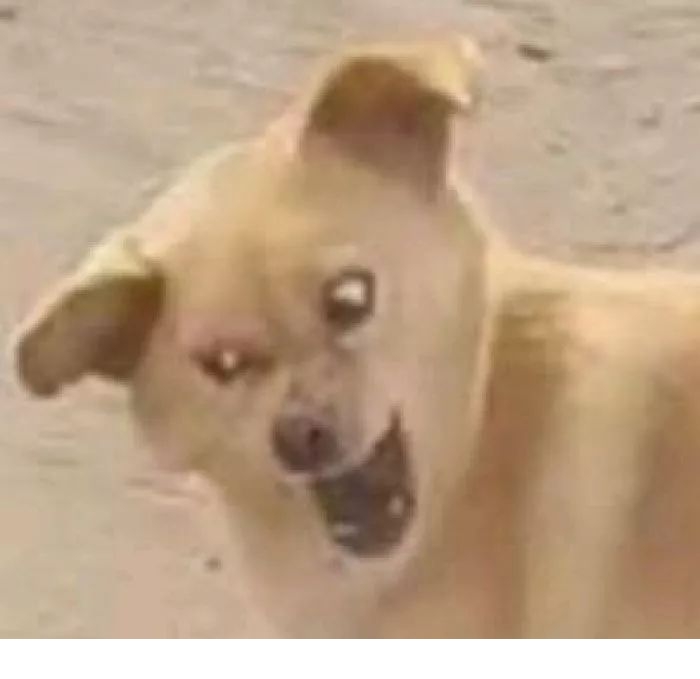 18个最沙雕的情侣头像,谁敢和我一起换上?