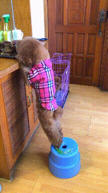 216_384gif 动态图 动图