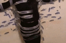 搞笑gif趣图:老婆在我面前还敢嚣张,看看这就是下场!