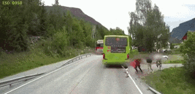 搞笑 正文 搞笑段子 1.