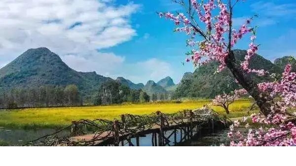 《三生三世十里桃花》的外景拍摄地,这个苗族村寨位于普者黑青龙山