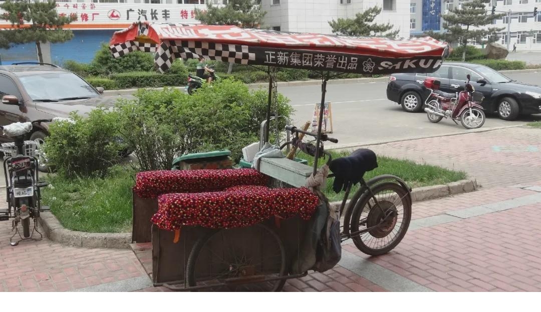 为什么东北盛产"倒骑驴"?