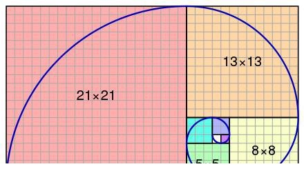 斐波那契数列——隐藏在自然界的数学美