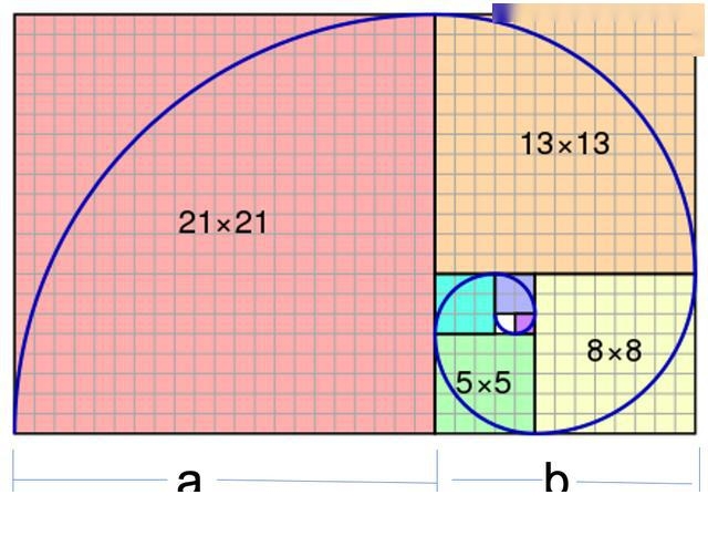 斐波那契数列——隐藏在自然界的数学美