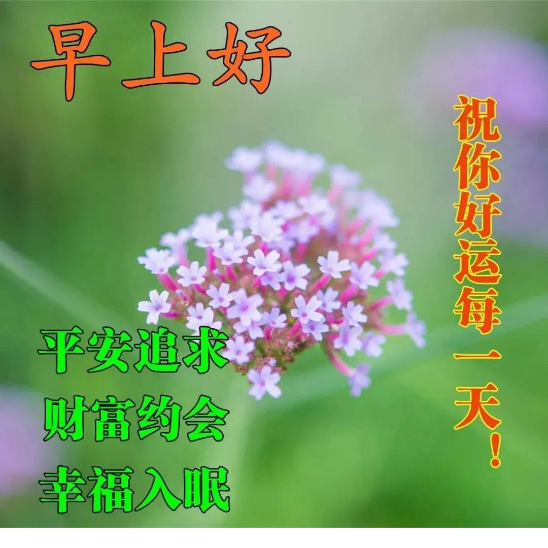 早安祝福心语,早上好祝福语录,温馨图片 飞扬头条