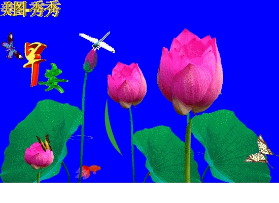 2021年7月8日周四早晨问候动态表情包早晨问安祝福语