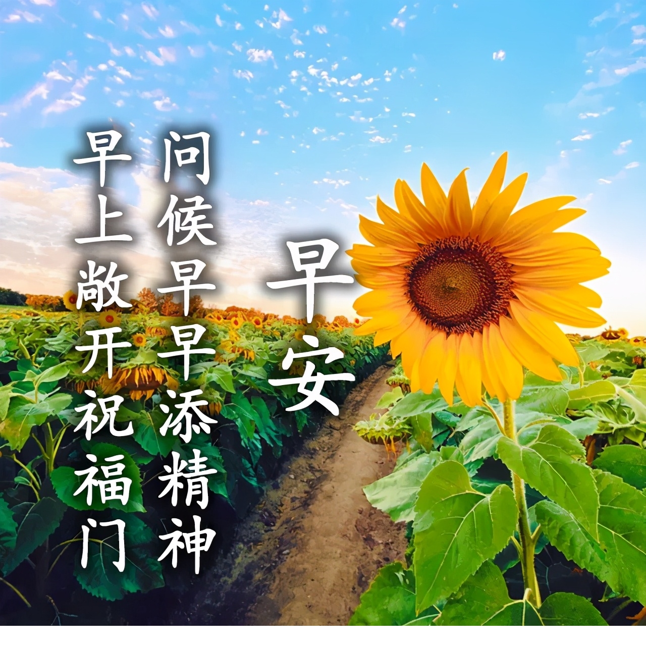 2021特别漂亮的早上好图片,每日最新早安图片