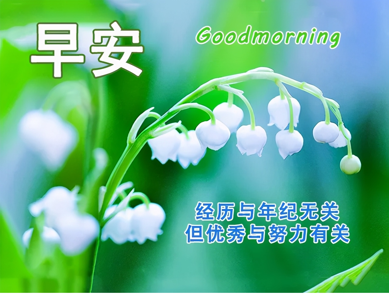 最新最美早安动态祝福图片,最温暖的早安祝福精选语录