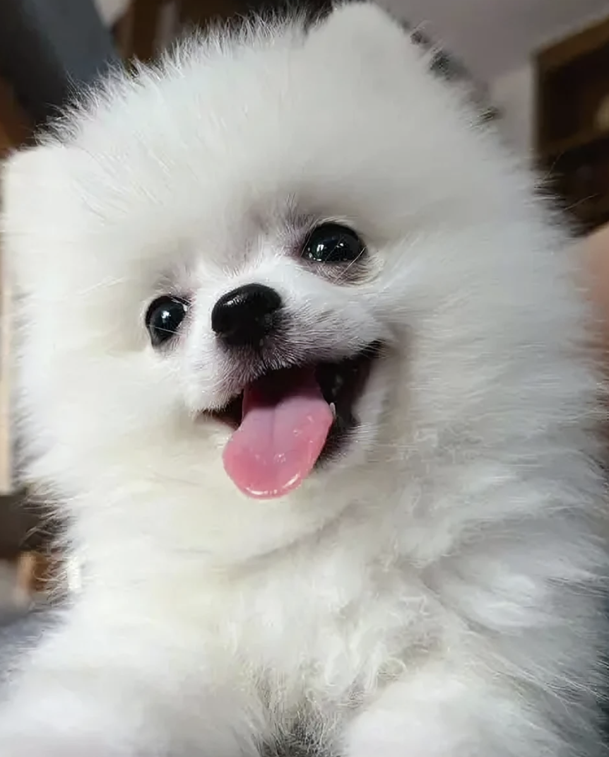 屏幕截图 2023-05-10 201551.png