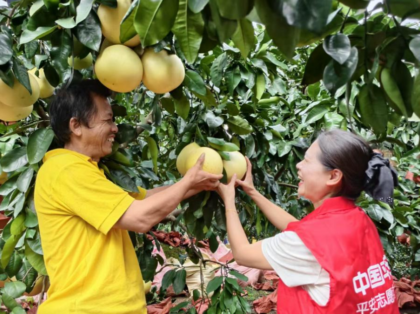 1762494322249690.png 1.png