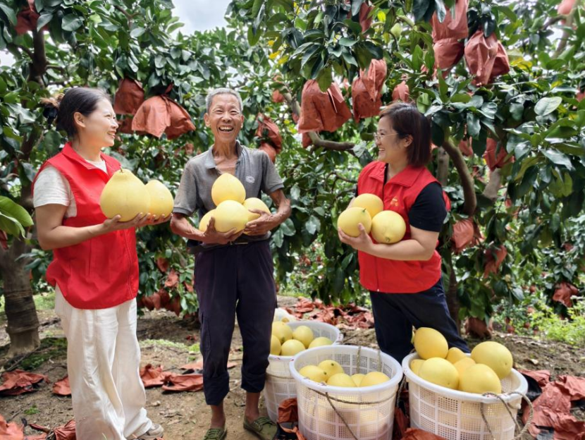 1762494328470282.png 2.png