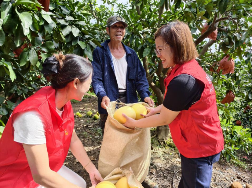 1762494350742851.png 4.png