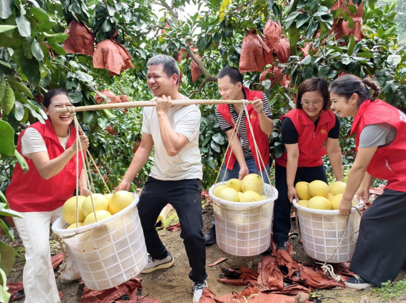 1762494360337551.png 6.png